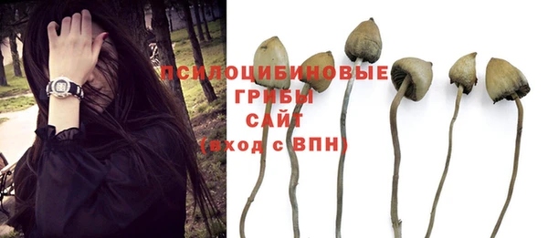герыч Горняк