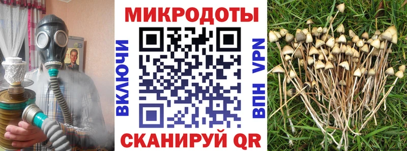 где найти   Корсаков  Галлюциногенные грибы ЛСД 